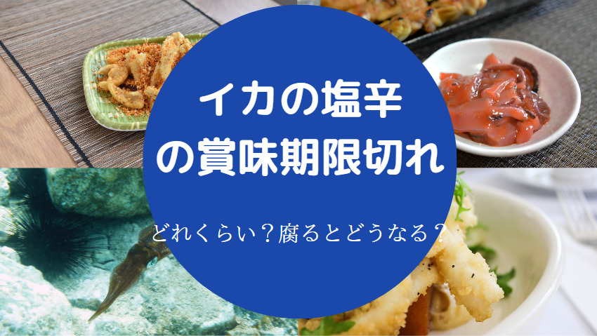 イカの塩辛の賞味期限切れ