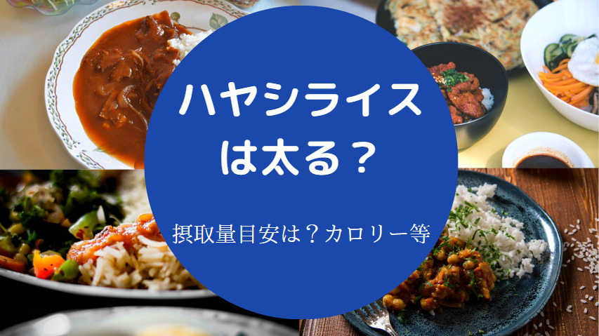 ハヤシライスは太る?