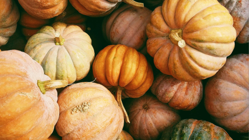 かぼちゃの煮物に関するよくある質問