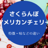 さくらんぼとアメリカンチェリーの違いについて