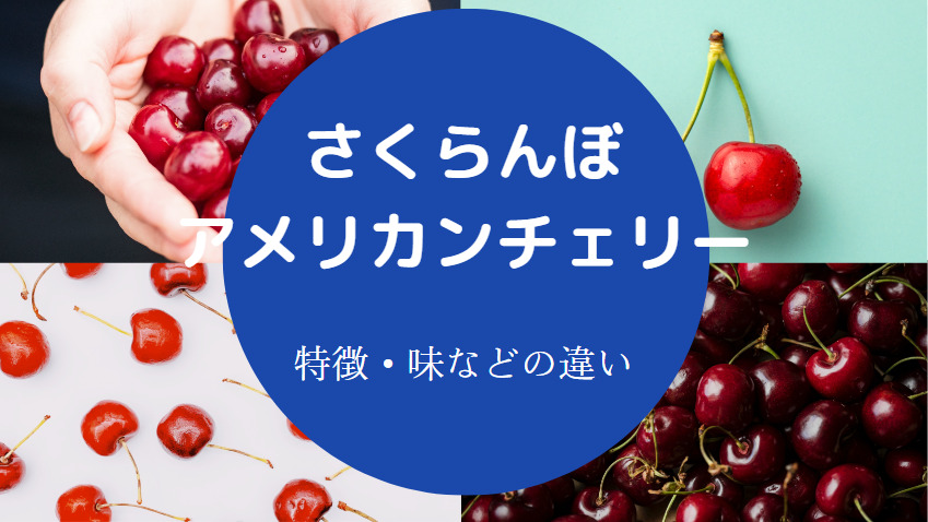 さくらんぼとアメリカンチェリーの違いについて