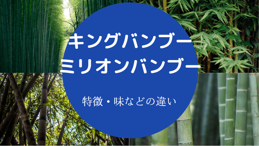 キングバンブーとミリオンバンブーの違いについて