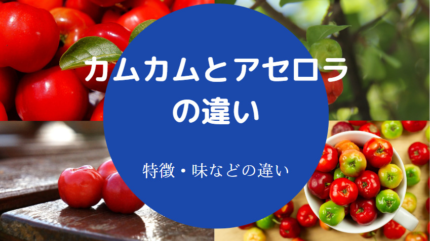 カムカムとアセロラの違いについて