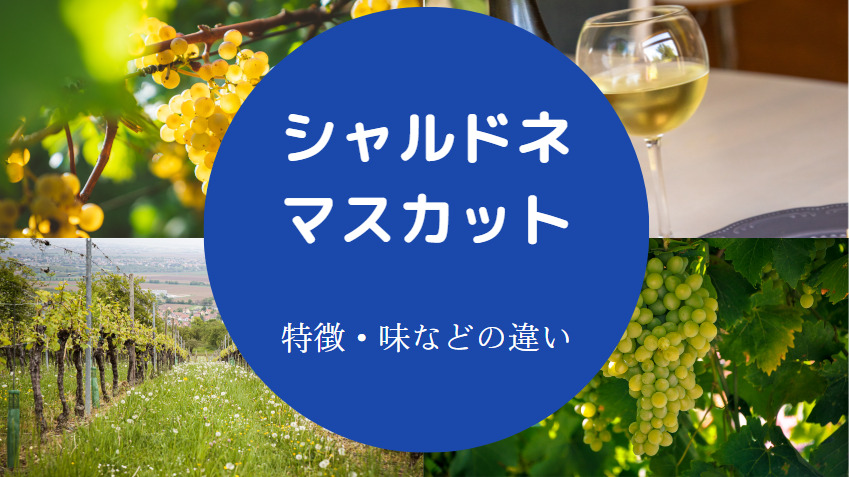 シャルドネとマスカットの違いについて