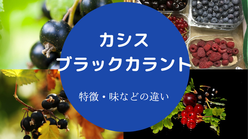 ブラックカラントとカシスの違いについて