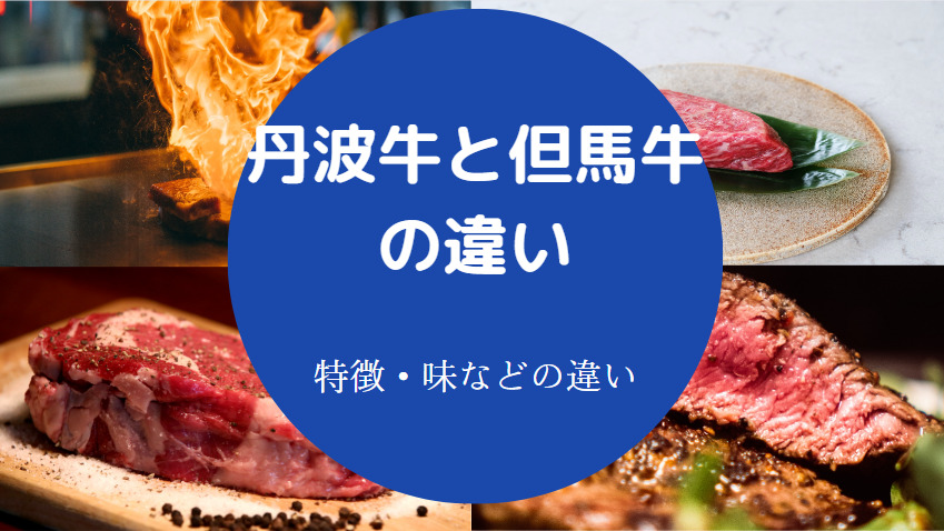 丹波牛と但馬牛の違いについて