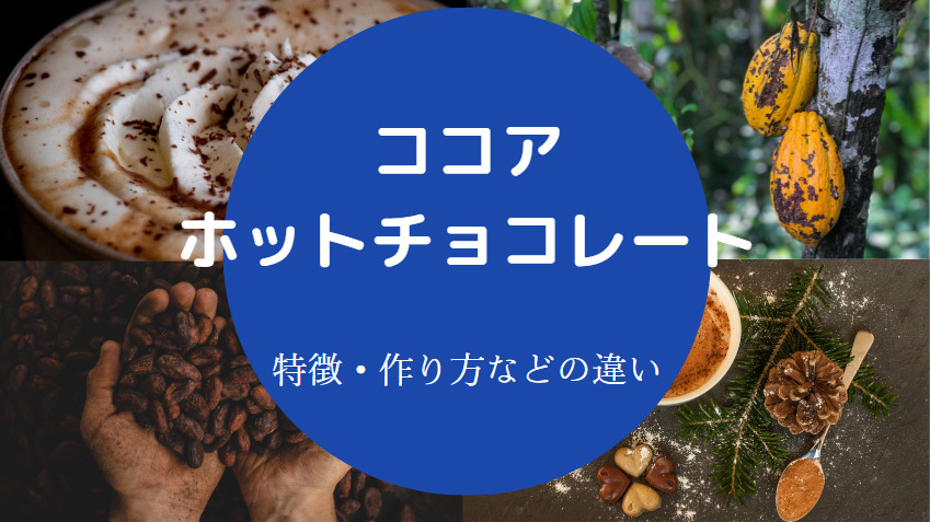 ホットチョコレートとココアの違いについて