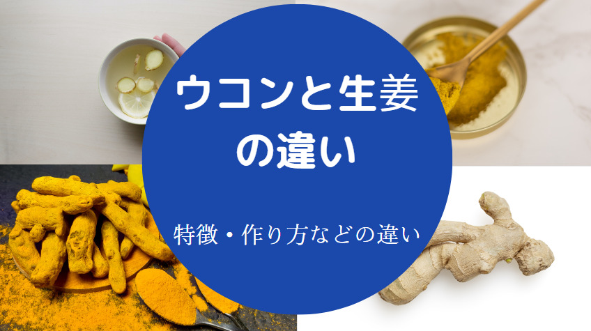 ウコンと生姜の違いについて