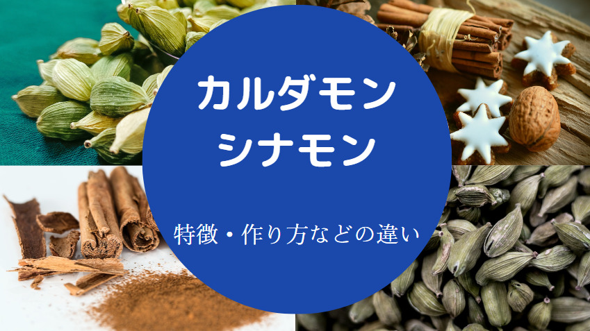 カルダモンとシナモンの違いについて