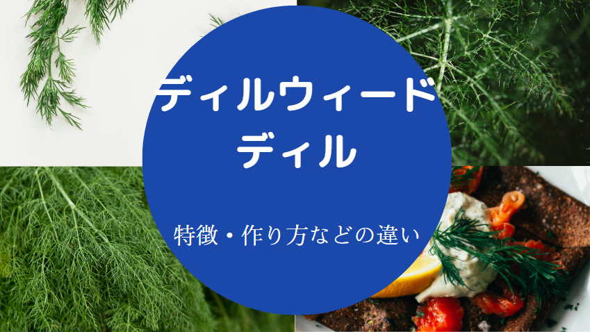 ディルウィードとディルの違いについて