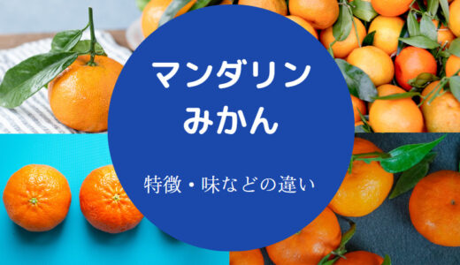 【マンダリンとみかんの違い】オレンジ・食べ方・意味・値段・糖度など