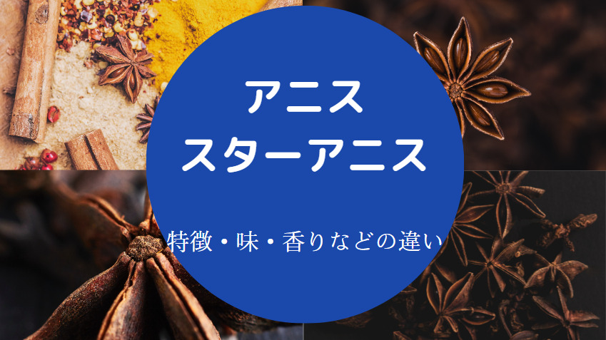 アニスとスターアニスの違いについて