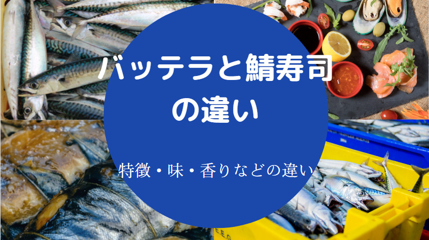 バッテラと鯖寿司の違いについて
