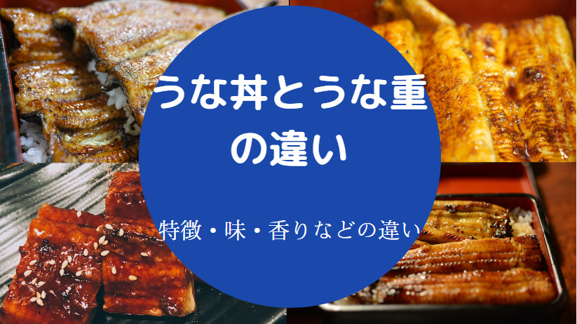うな丼とうな重の違いについて