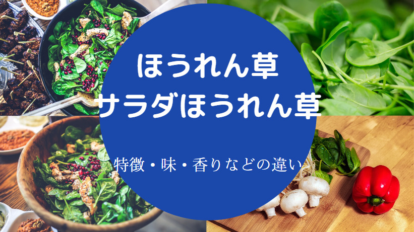 サラダほうれん草とほうれん草の違いについて