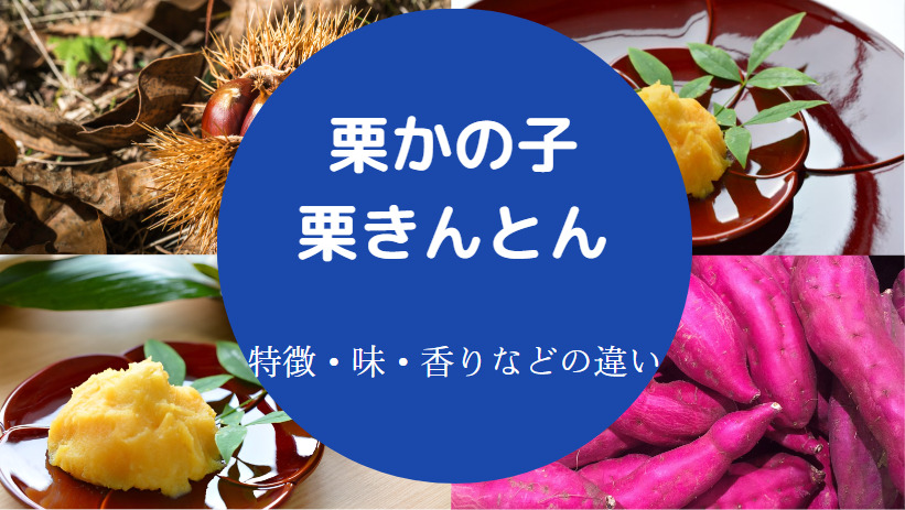 栗かの子と栗きんとんの違いについて