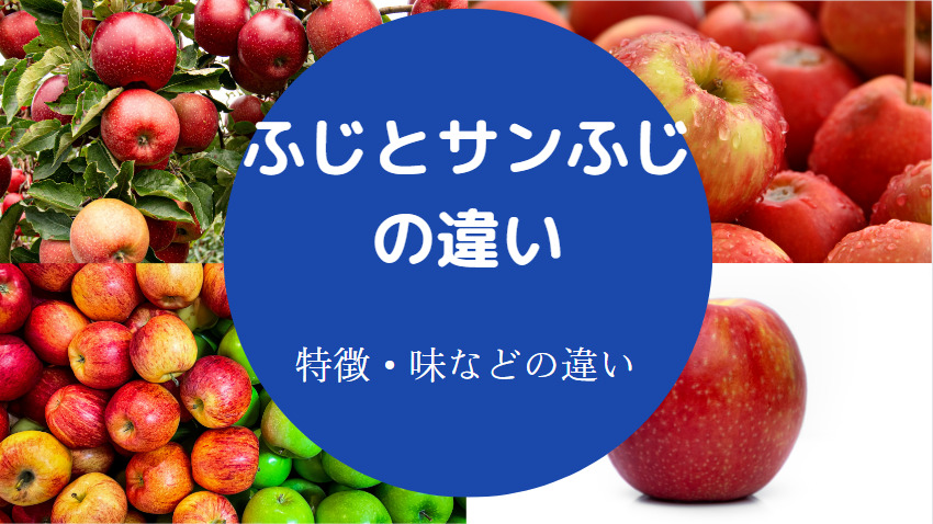 ふじとサンふじの違いについて