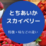 とちあいかとスカイベリーの違いについて