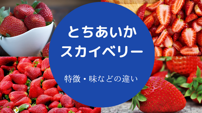 とちあいかとスカイベリーの違いについて