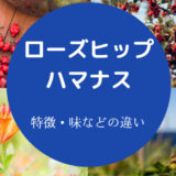 ローズヒップとハマナスの違いについて