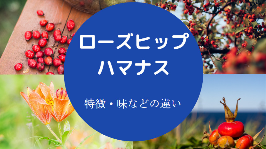 ローズヒップとハマナスの違いについて